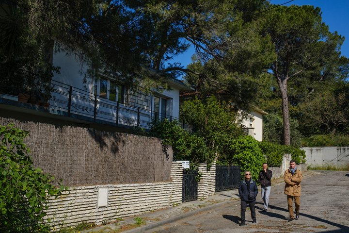 Quand les citadins se battent pour sauver leurs derniers arbres