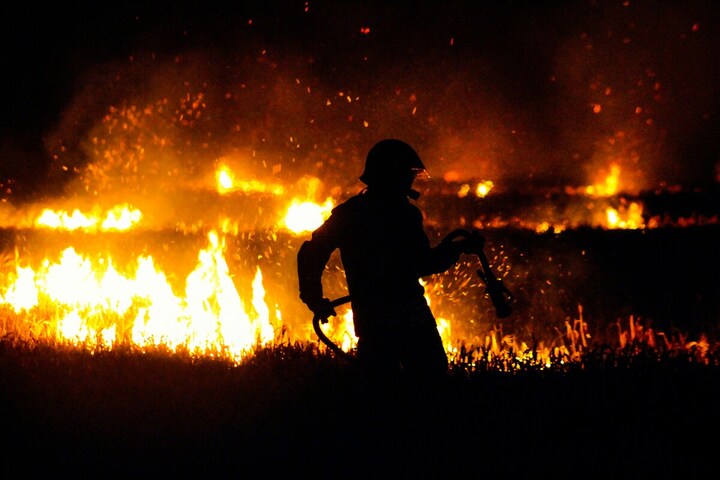 Incendie en Corse : près de 500 hectares de maquis brûlés