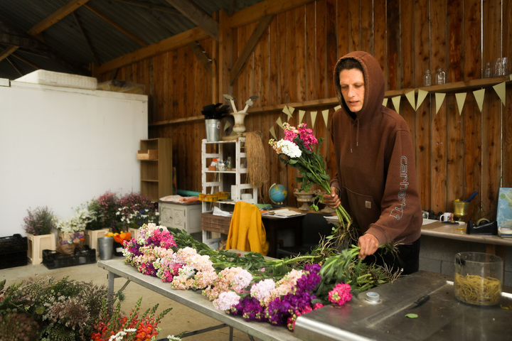 Cultiver des fleurs bio et françaises : «<small class="fine d-inline"> </small>Un boom des installations<small class="fine d-inline"> </small>»