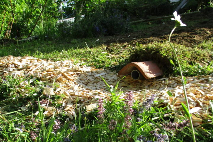 Un système d'assainissement écolo et pas cher bientôt autorisé<small class="fine d-inline"> </small>? 