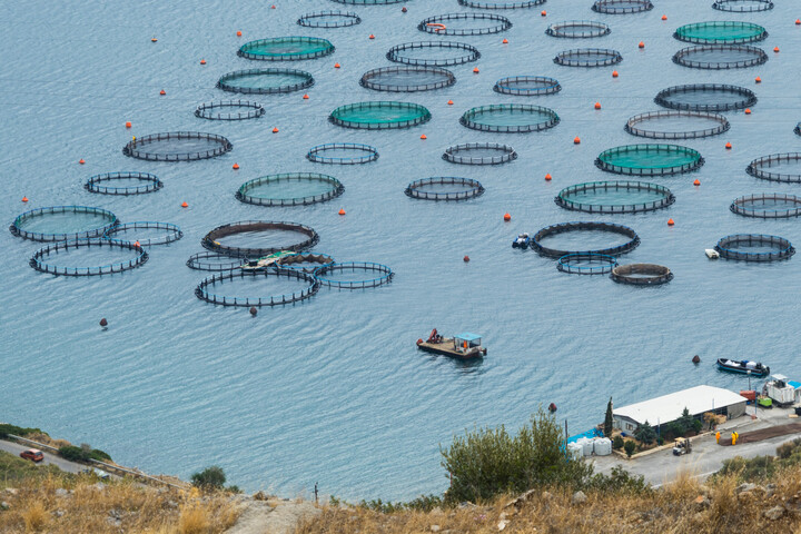 La Grèce renonce à un projet piscicole pour raisons environnementales