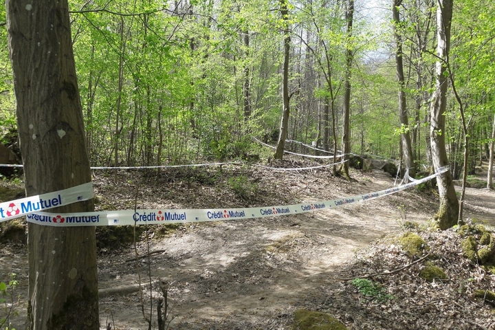 Rubans plastiques : «<small class="fine d-inline"> </small>Ce balisage utile aux sportifs empoisonne la forêt<small class="fine d-inline"> </small>»