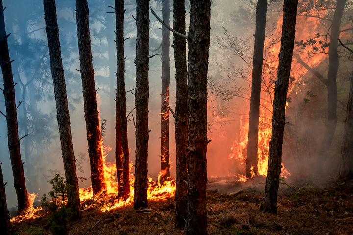  Risques climatiques : l'Europe doit faire plus pour éviter des situations «<small class="fine d-inline"> </small>catastrophiques<small class="fine d-inline"> </small>»
