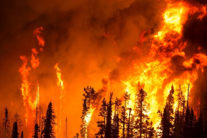 La fumée des feux de forêt pourrait causer 1,4 million de morts d'ici à 2100