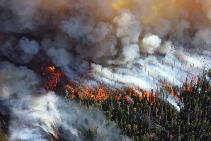 Les fumées d'incendies font 1,5 million de morts par an