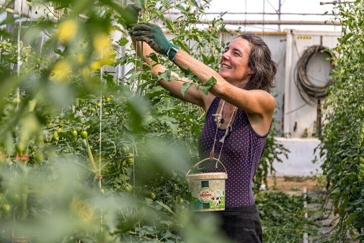 «<small class="fine d-inline"> </small>Il faut nous entraider<small class="fine d-inline"> </small>» : agricultrices, elles ont créé un collectif