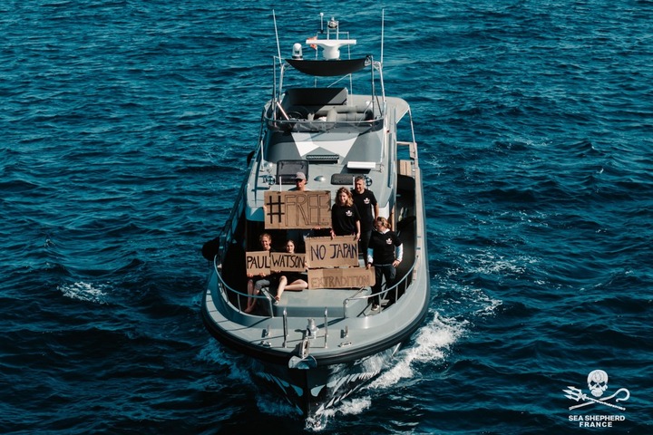 Sea Shepherd : Paul Watson restera en prison jusqu'au 5 septembre