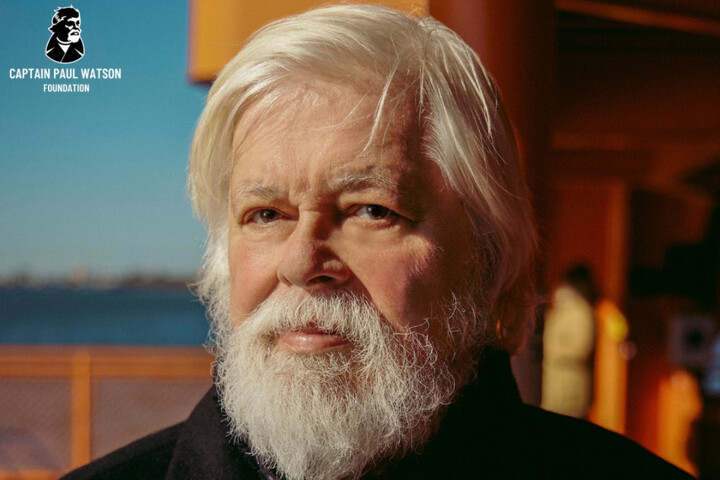 Paul Watson restera en prison au Groenland encore trois semaines