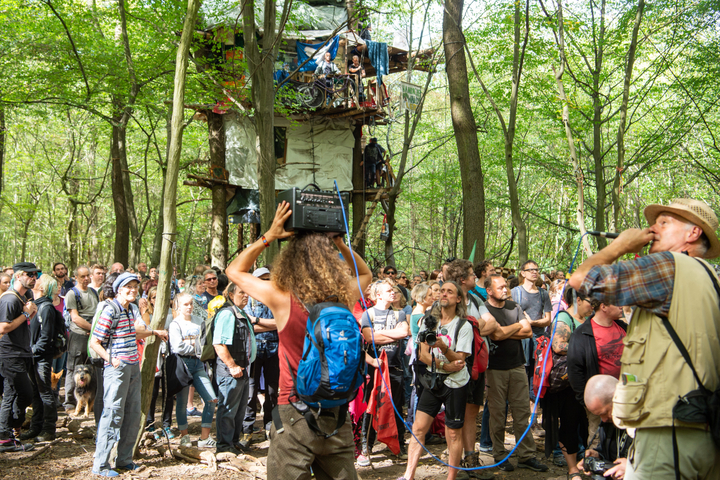 Haut-lieu de la lutte contre le charbon, le bois de Hambach est désormais protégé
