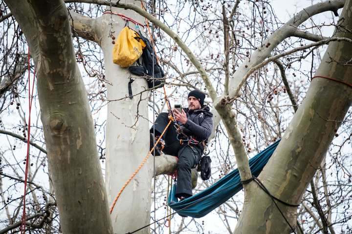  Audience cruciale pour l'A69 : des opposants installés dans les arbres face au tribunal