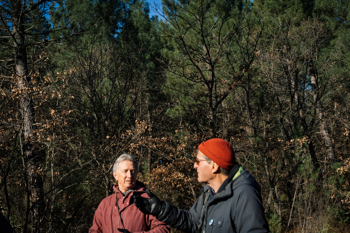 Raser une forêt pour des panneaux solaires<small class="fine d-inline"> </small>? Ils font plier Engie