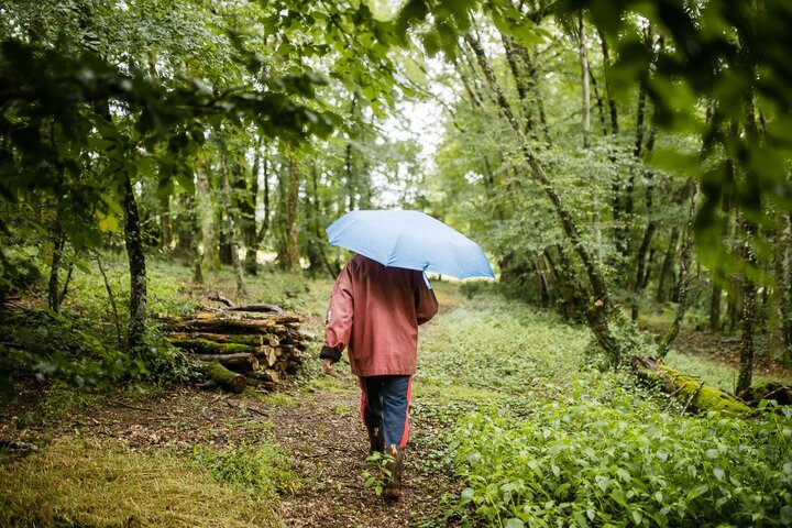 Clôtures et forêts engrillagées : comment retrouver la liberté de cheminer