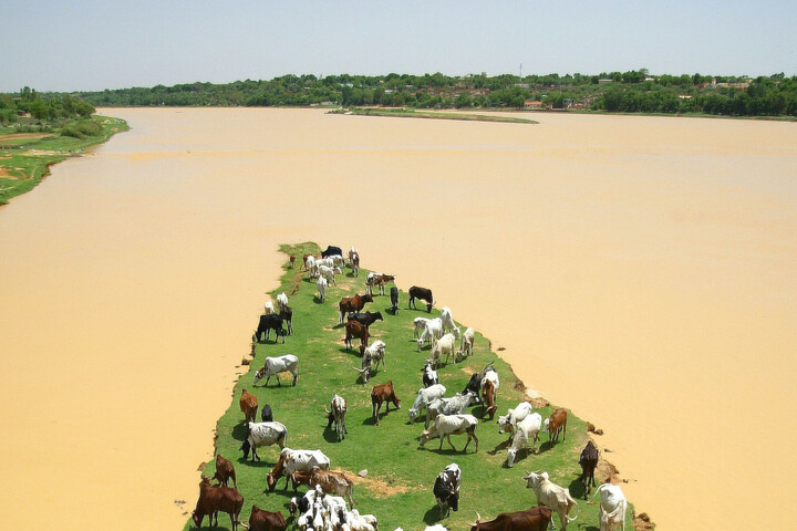 Des centaines de milliers de déplacés après des inondations en Afrique centrale