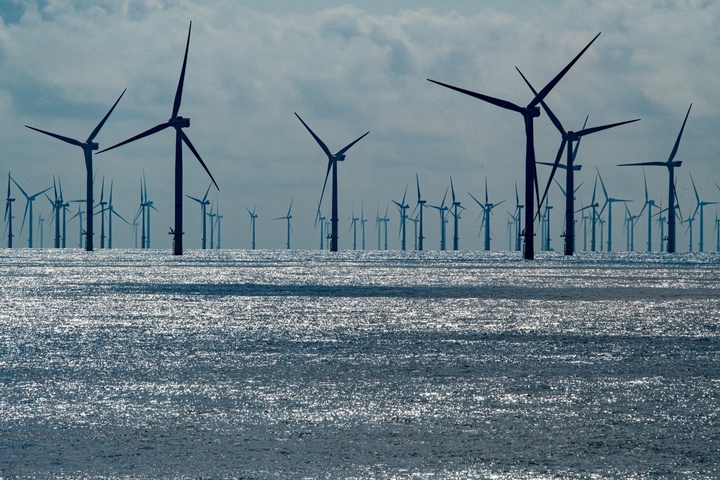 Comment les parcs éoliens pourraient transformer durablement les écosystèmes marins