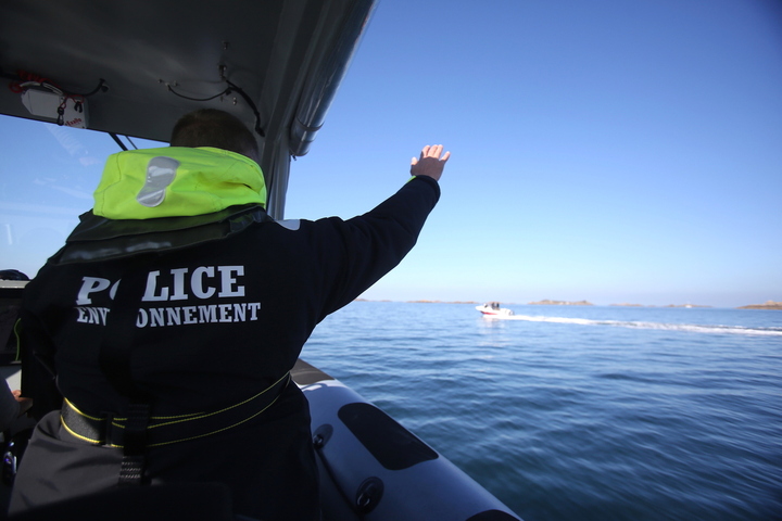 Dauphins joueurs et oiseaux : en patrouille avec la police de l'environnement