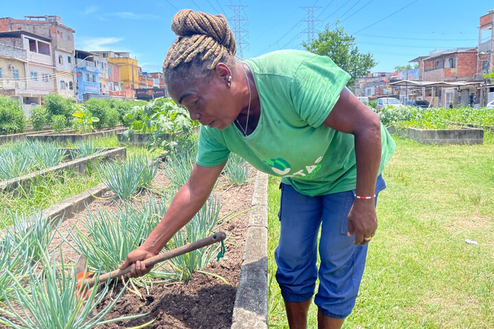 Au Brésil, des potagers bio poussent au cœur du trafic de drogue
