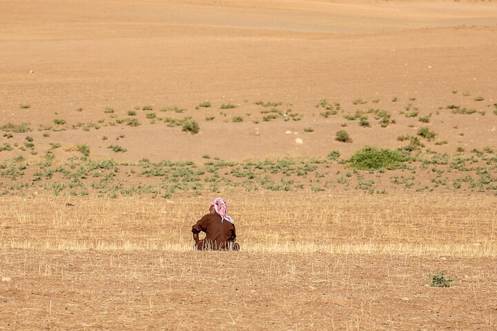 En Syrie, l'immense défi de la restauration écologique du pays 
