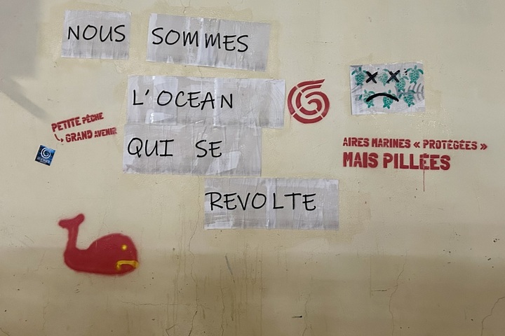 20 heures de garde à vue pour des tags appelant à protéger les océans