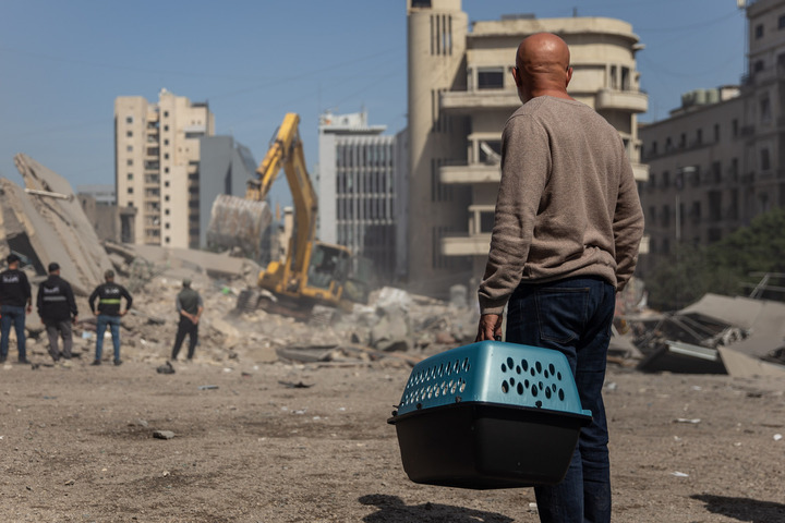 Des écologistes ciblés par Israël : «<small class="fine d-inline"> </small>Ils veulent vider le Sud-Liban de sa faune, de sa flore, et détruire son environnement<small class="fine d-inline"> </small>»