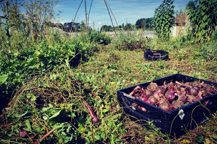 Des associations d'aide alimentaire s'allient aux paysans pour lutter contre la malbouffe