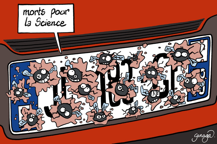 Les insectes s'écrasent-ils toujours autant contre les voitures<small class="fine d-inline"> </small>? À vous de compter<small class="fine d-inline"> </small>!