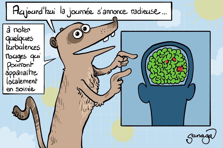 Pour apprivoiser nos peurs, inspirons-nous du suricate