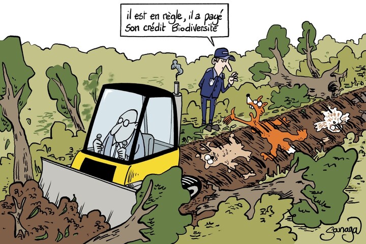 L'économie peut-elle protéger la nature<small class="fine d-inline"> </small>? Le pari douteux des «<small class="fine d-inline"> </small>crédits biodiversité<small class="fine d-inline"> </small>»