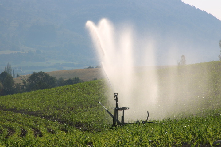 L'irrigation pourrait faire doubler la consommation en eau en 2050