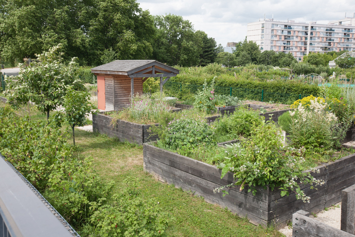 Avec leur potager «<small class="fine d-inline"> </small>pirate<small class="fine d-inline"> </small>», les habitants de ce quartier populaire se réapproprient leur terre