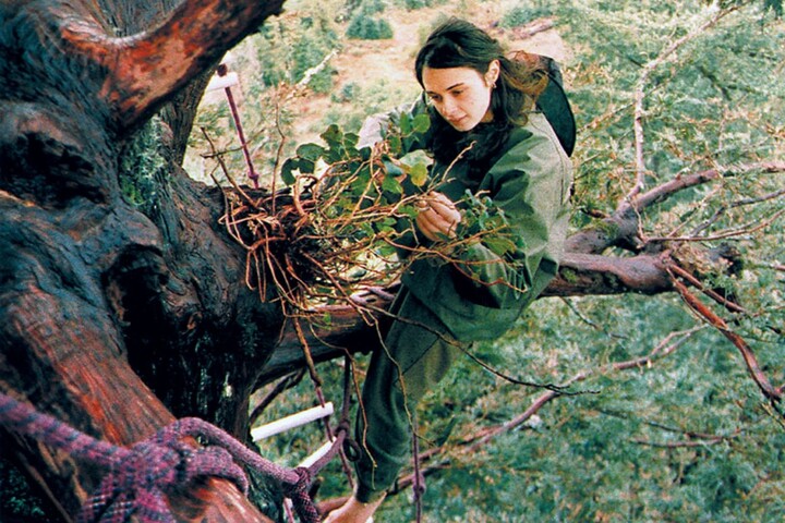 Occuper les arbres : une stratégie de lutte payante