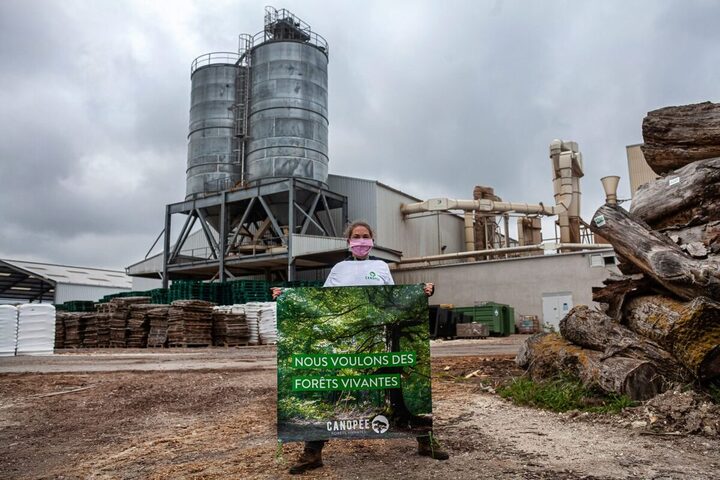 Couper des chênes pour en faire des granulés : la fronde monte en Limousin