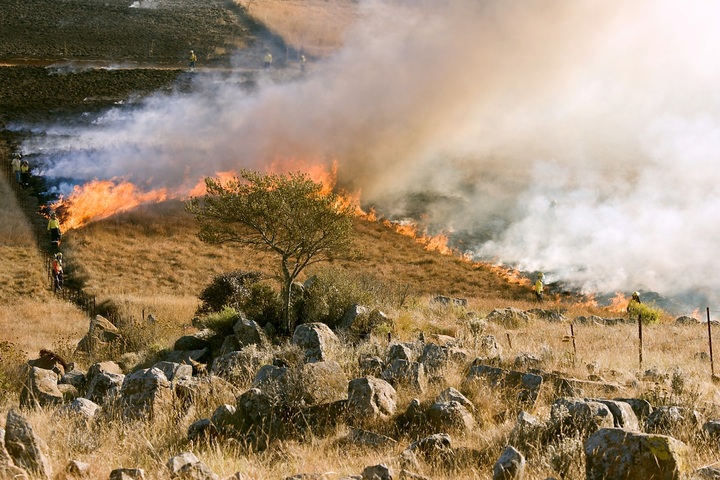 La saison des feux démarre en France, 3 départements en «<small class="fine d-inline"> </small>danger très élevé<small class="fine d-inline"> </small>»