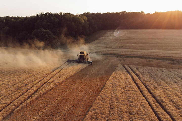 Souveraineté agricole : les fragilités de la «<small class="fine d-inline"> </small>puissance<small class="fine d-inline"> </small>» française