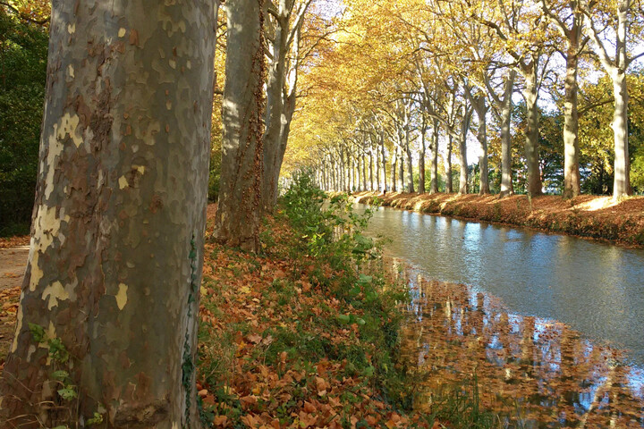 La navigation sur le canal du Midi interdite à cause de la sécheresse