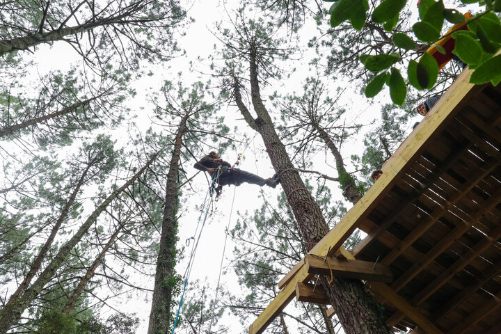 Six militants perchés dans des arbres contre une ligne à haute tension
