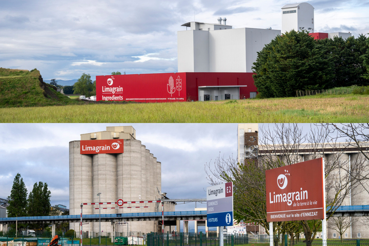 Limagrain, la coopérative agricole devenue géant productiviste