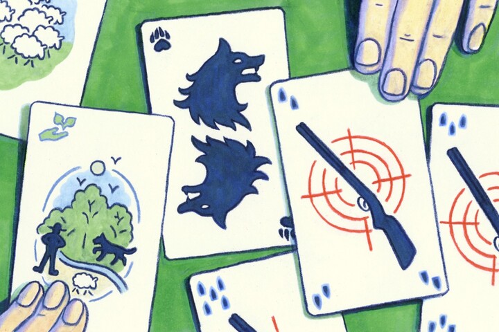 «<small class="fine d-inline"> </small>Apprenons à gérer notre peur du loup autrement que par l'abattage<small class="fine d-inline"> </small>»
