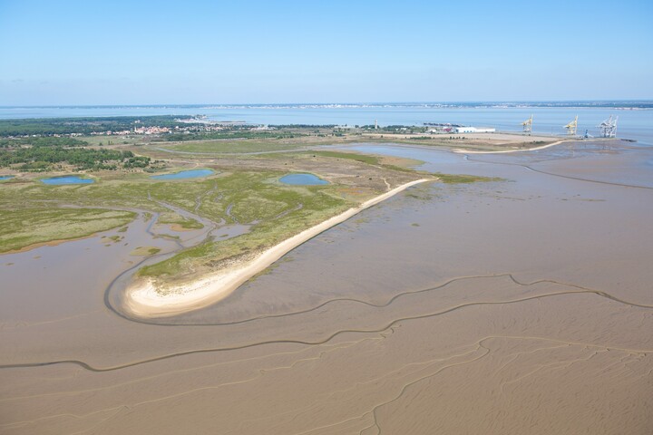 10 000 tonnes de saumons par an : bientôt une ferme-usine en Gironde