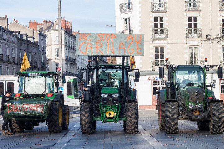 Dermatose bovine : face à une gestion «<small class="fine d-inline"> </small>catastrophique<small class="fine d-inline"> </small>», des soutiens aux éleveurs dans toute la France