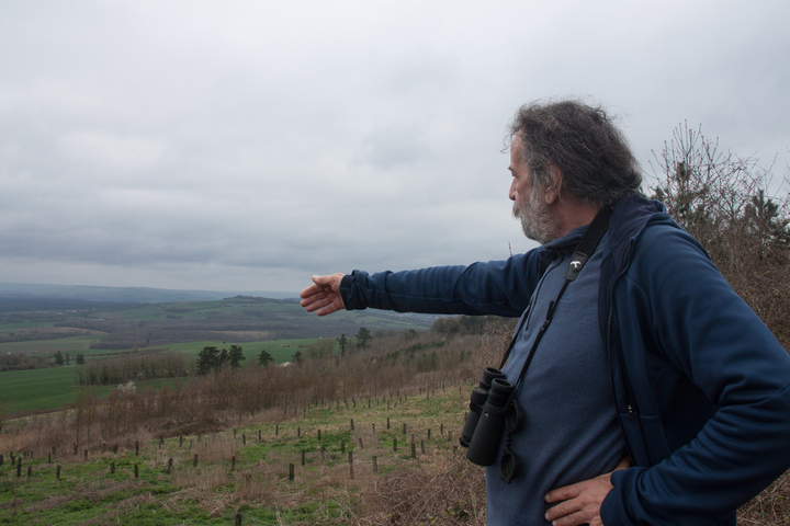 Dans les anciennes carrières, la nature gagne quand on la laisse tranquille