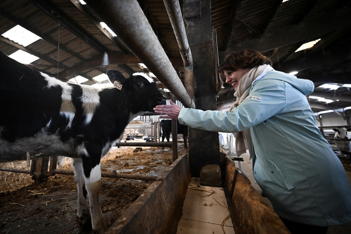 La loi d'urgence agricole veut donner carte blanche aux élevages intensifs