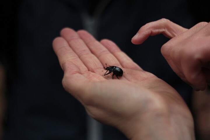 La biodiversité victime de la rigueur budgétaire