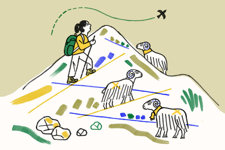 «<small class="fine d-inline"> </small>Il a tracé seul son chemin<small class="fine d-inline"> </small>» : les abandons en montagne, une forme de violence conjugale