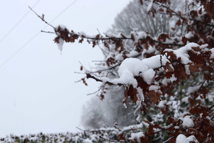 Le «<small class="fine d-inline"> </small>Noël le plus froid depuis 15 ans<small class="fine d-inline"> </small>» est à une température normale pour la saison