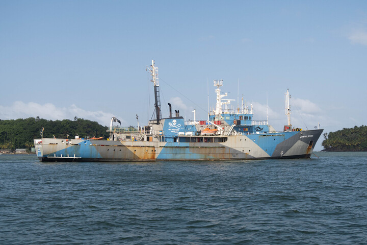 Guyane : un «<small class="fine d-inline"> </small>bateau végane<small class="fine d-inline"> </small>» de Sea Shepherd s'allie aux pêcheurs locaux