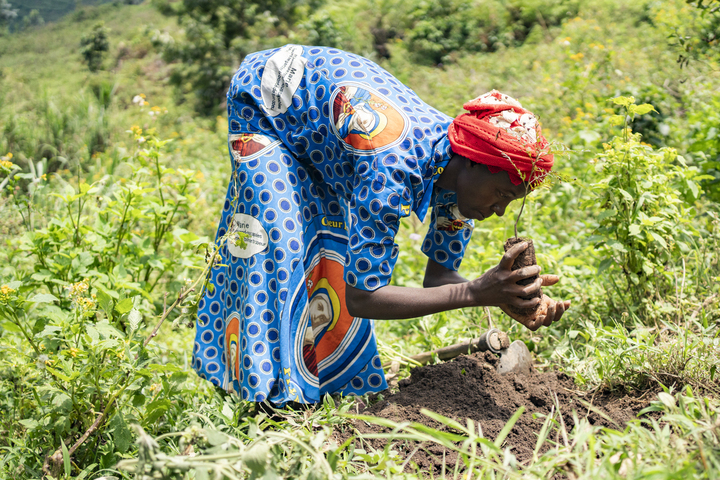 Au Congo, ils replantent des arbres pour sauver leur île