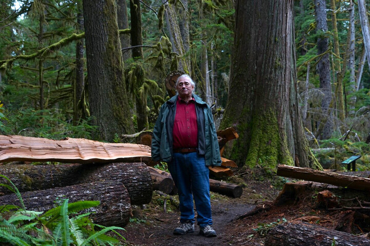 Aux États-Unis, le sort des forêts anciennes suspendu à la présidentielle