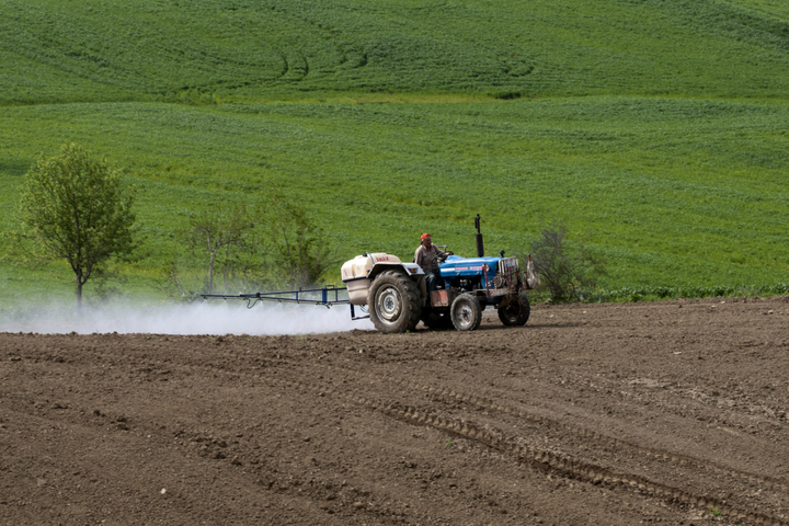 Trafic de pesticides : le roi de la salade et son fournisseur lourdement condamnés