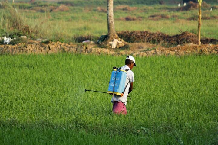 Le diabète pourrait être favorisé par l'exposition aux pesticides, selon plusieurs études