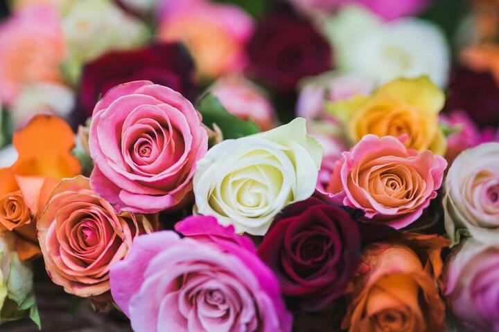  À la Saint-Valentin, nos fleurs sont bourrées de pesticides